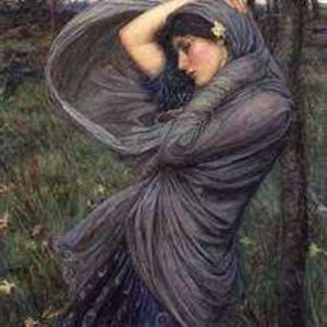 Meet your Posher, Anne